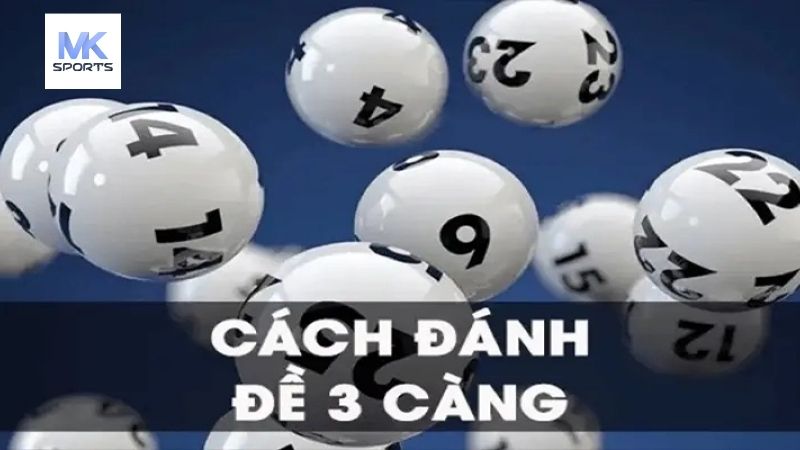 dàn đề 3 càng